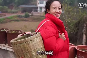 短视频中的一股清流——“三农”短视频