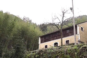 拥有2000万粉丝,却只拿几千块工资,野食小哥还能“野”吗?